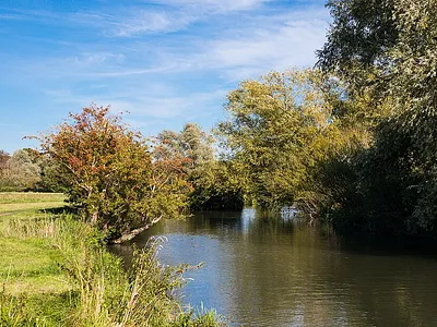 Grantchester Meadows