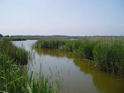 Hickling Broad