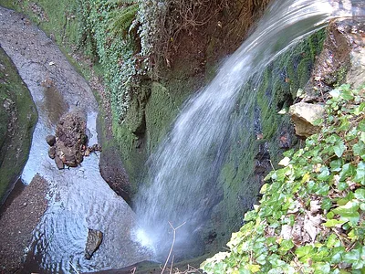 Shanklin Chine