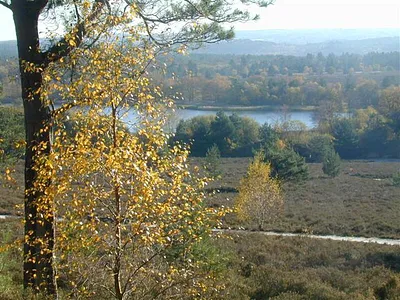 Frensham Great Pond