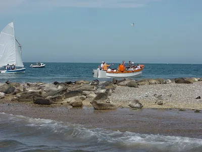 Blakeney Point