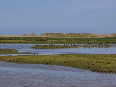 Cley Marshes