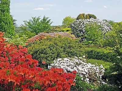 Emmetts Garden