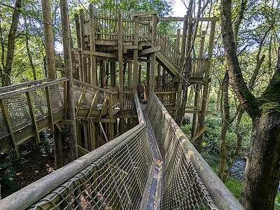 BeWILDerwood