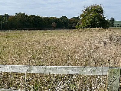 Lambourn Seven Barrows