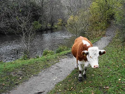 Monsal Dale